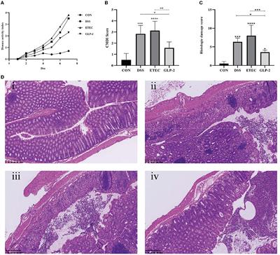 Integrative analysis revealed the role of glucagon-like peptide-2 in improving experimental colitis in mice by inhibiting inflammatory pathways, regulating glucose metabolism, and modulating gut microbiota